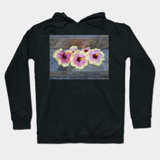 Beautiful Quints Hoodie